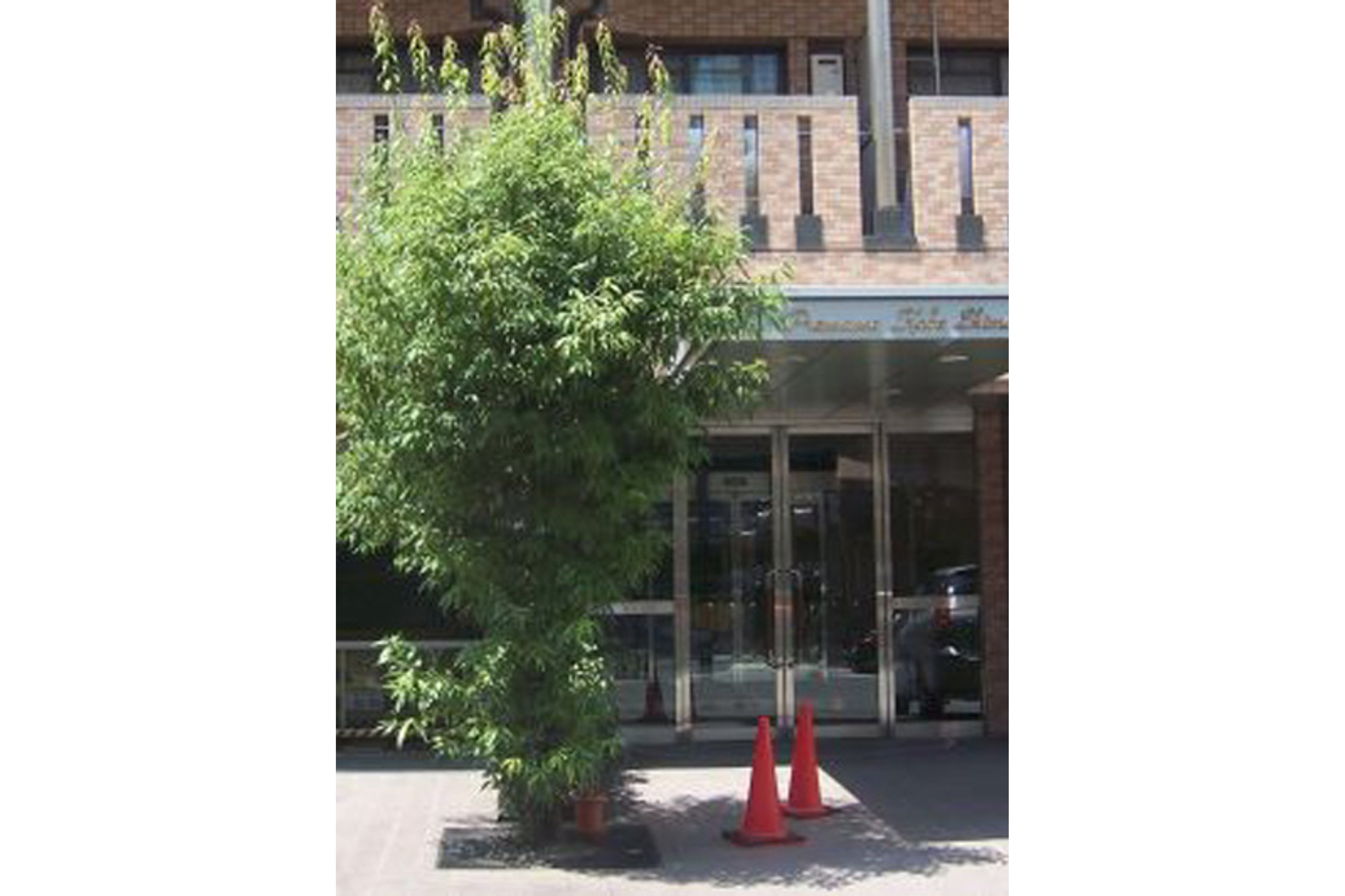 スタンダードタイプのイメージ