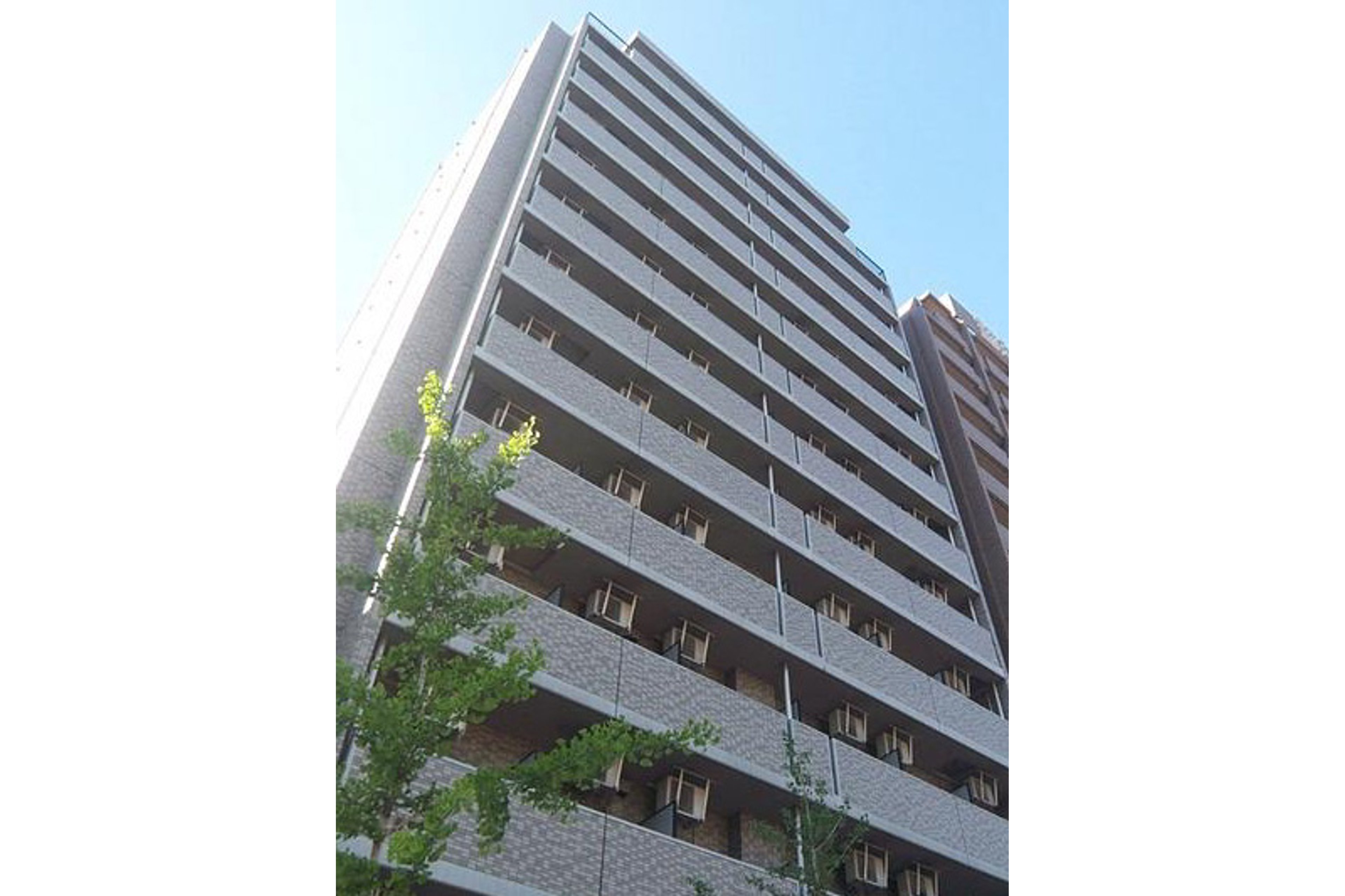 スタンダードタイプのイメージ