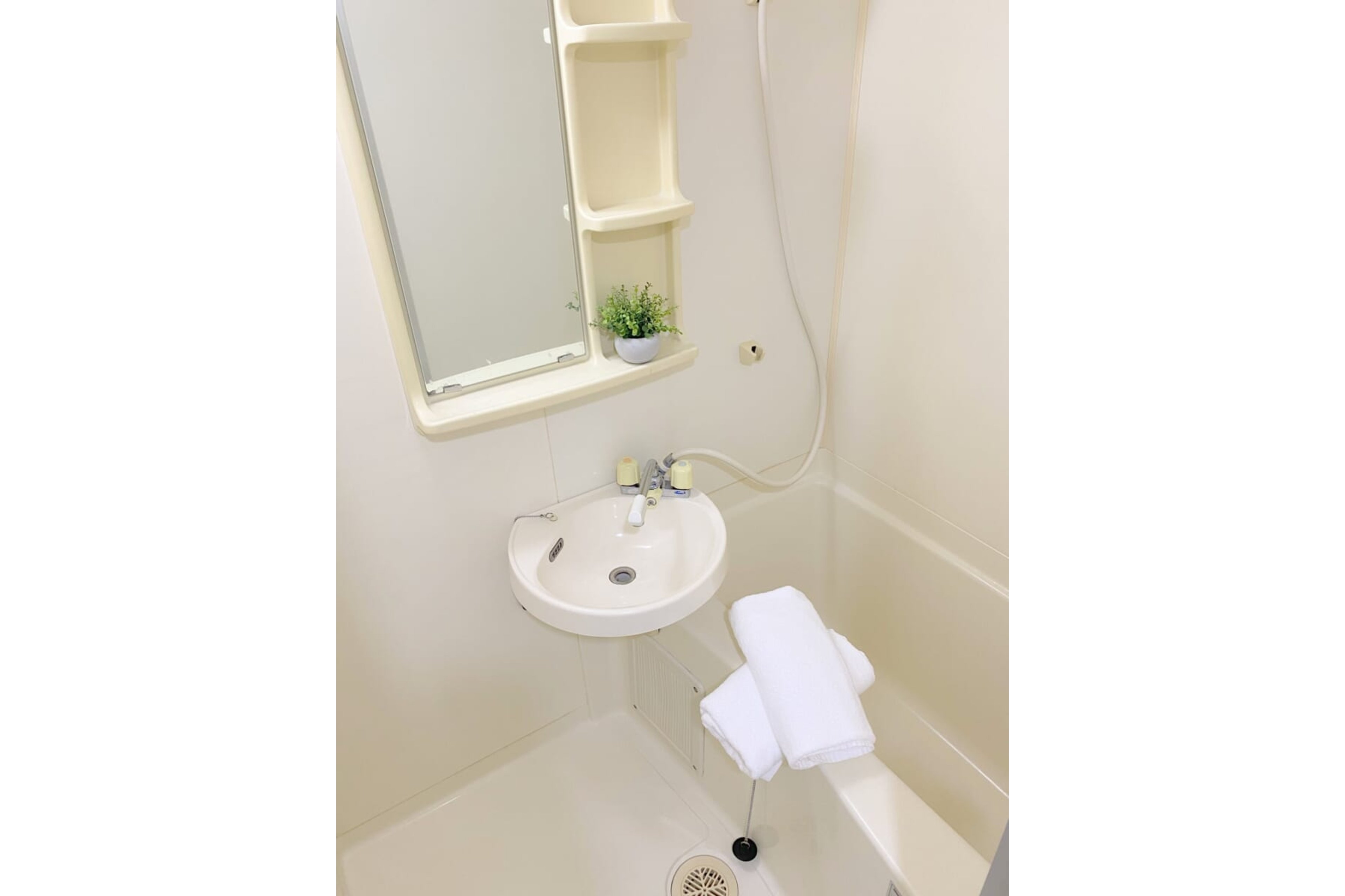 スタンダードタイプのイメージ