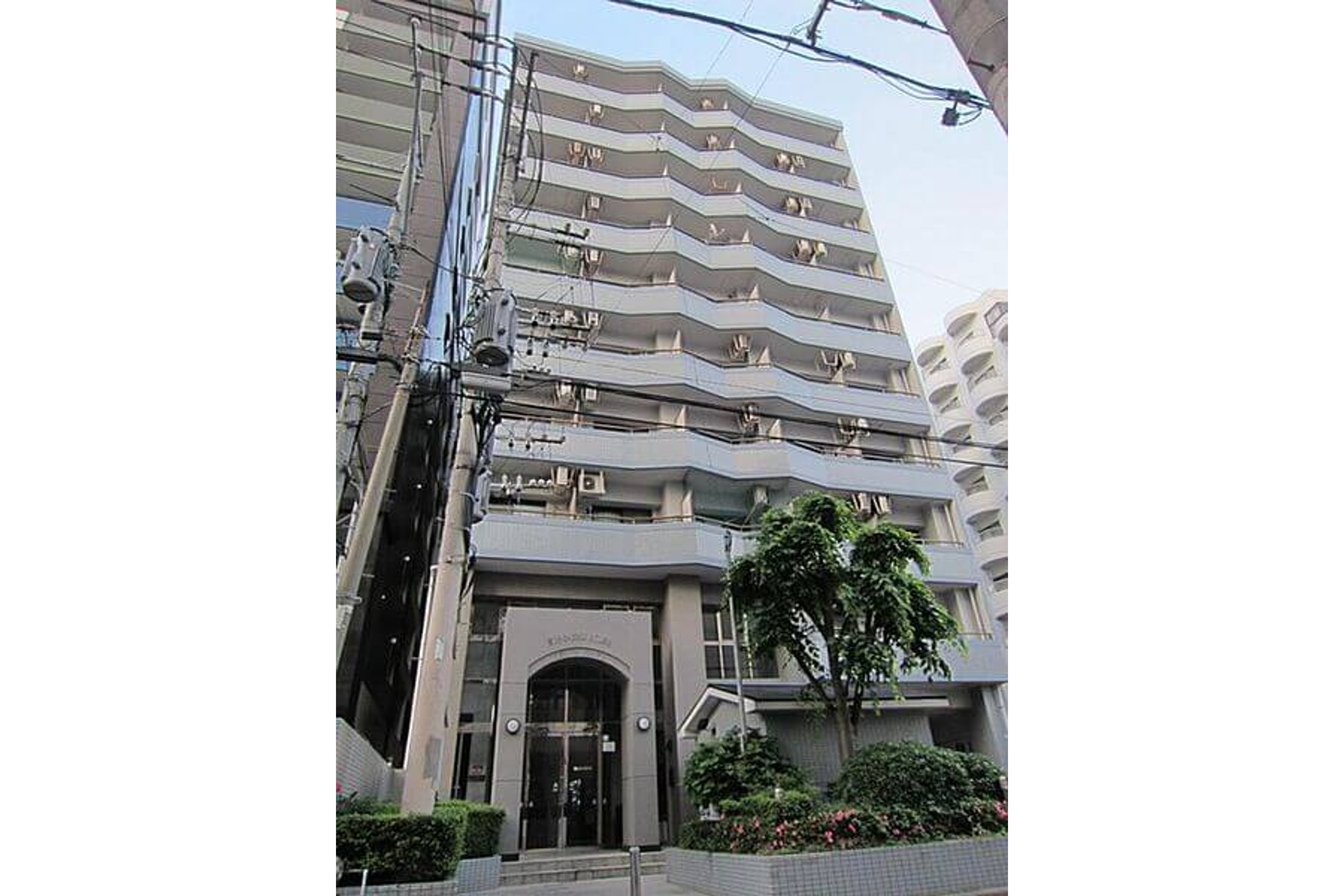 スタンダードタイプのイメージ