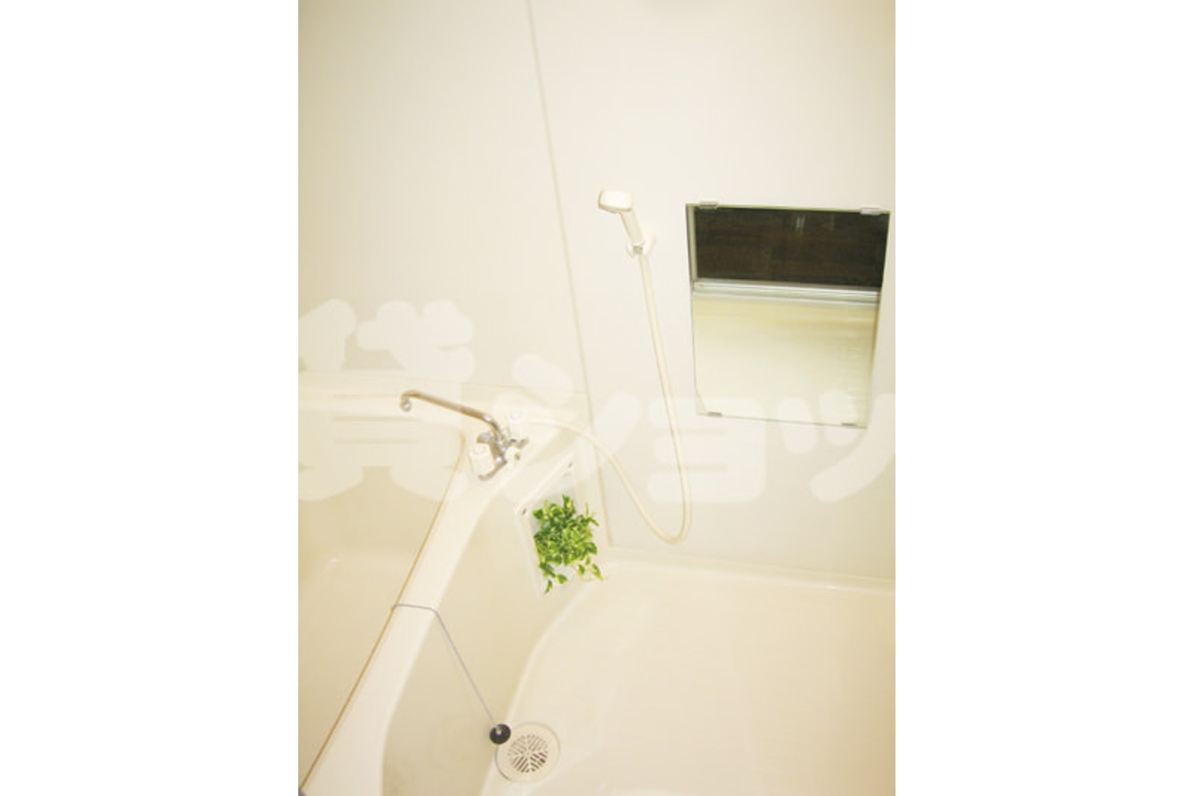 スタンダードタイプのイメージ