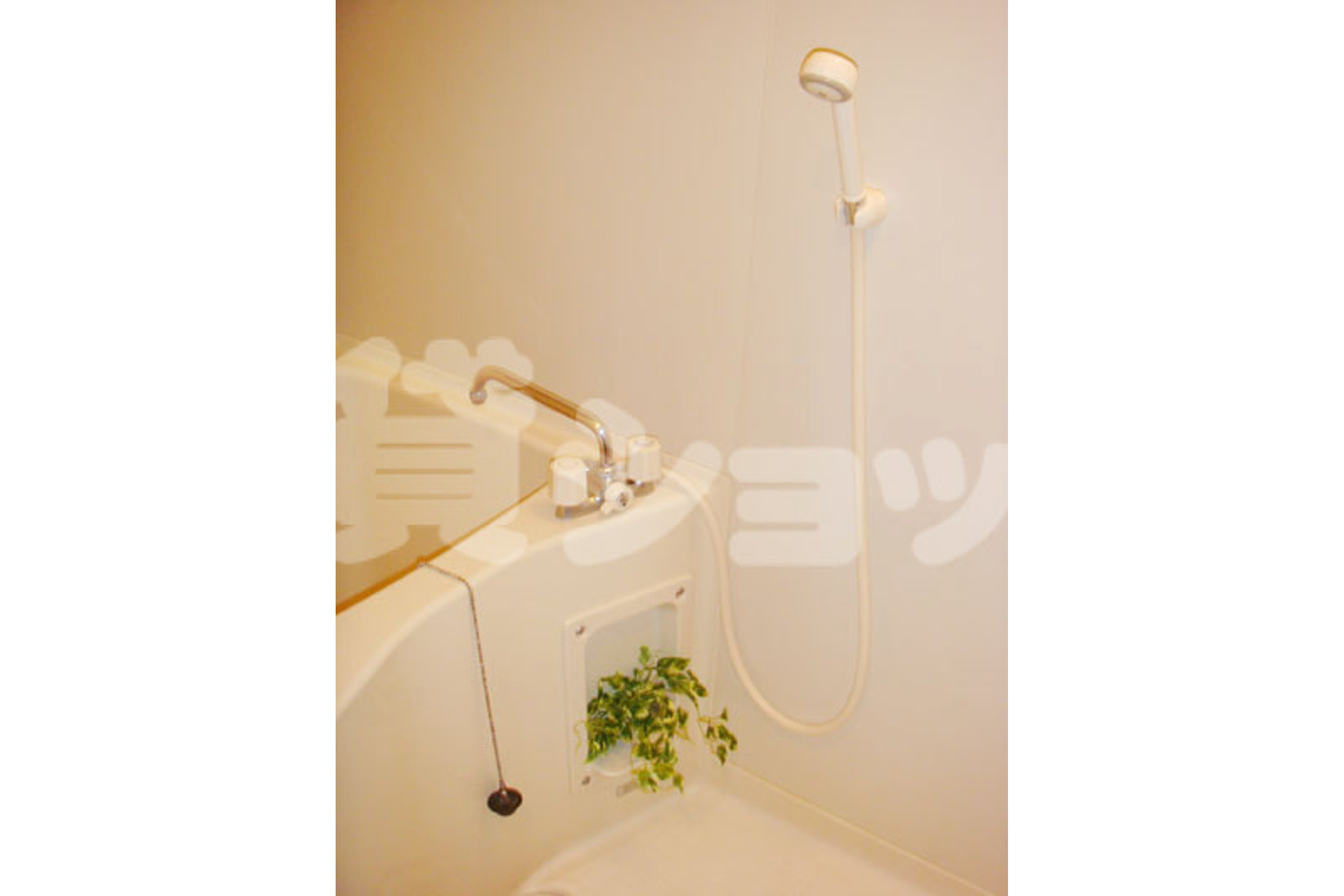 バリュータイプのイメージ