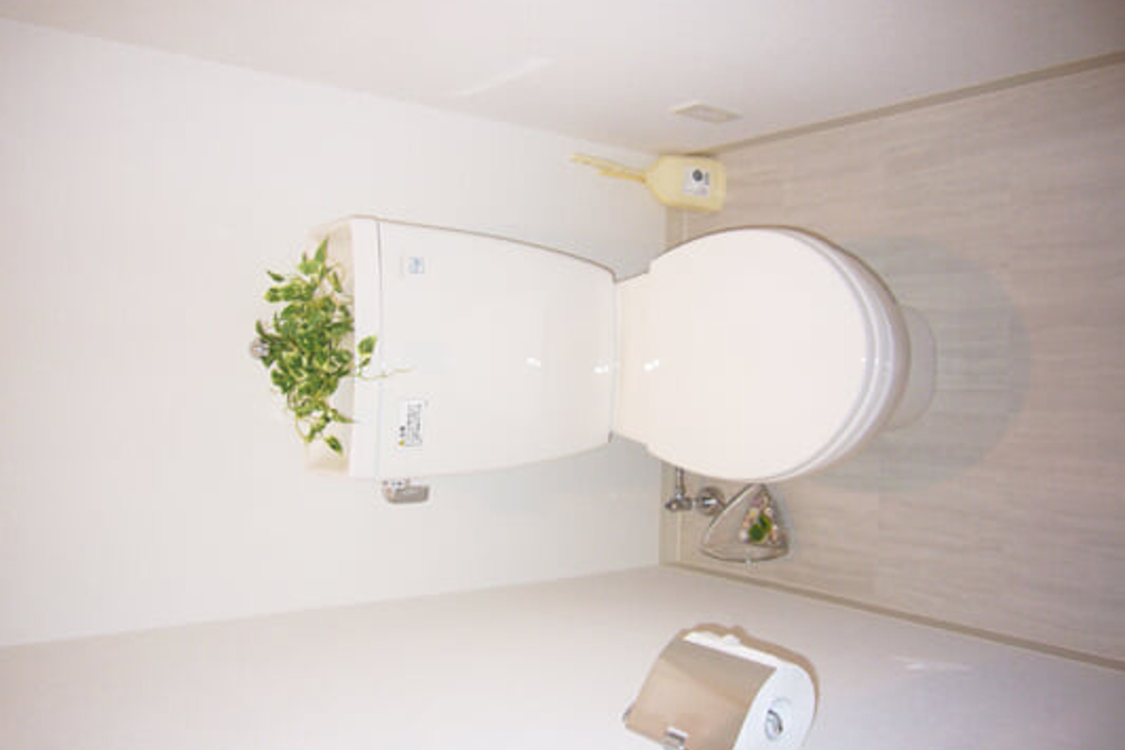 ハイグレードタイプのイメージ