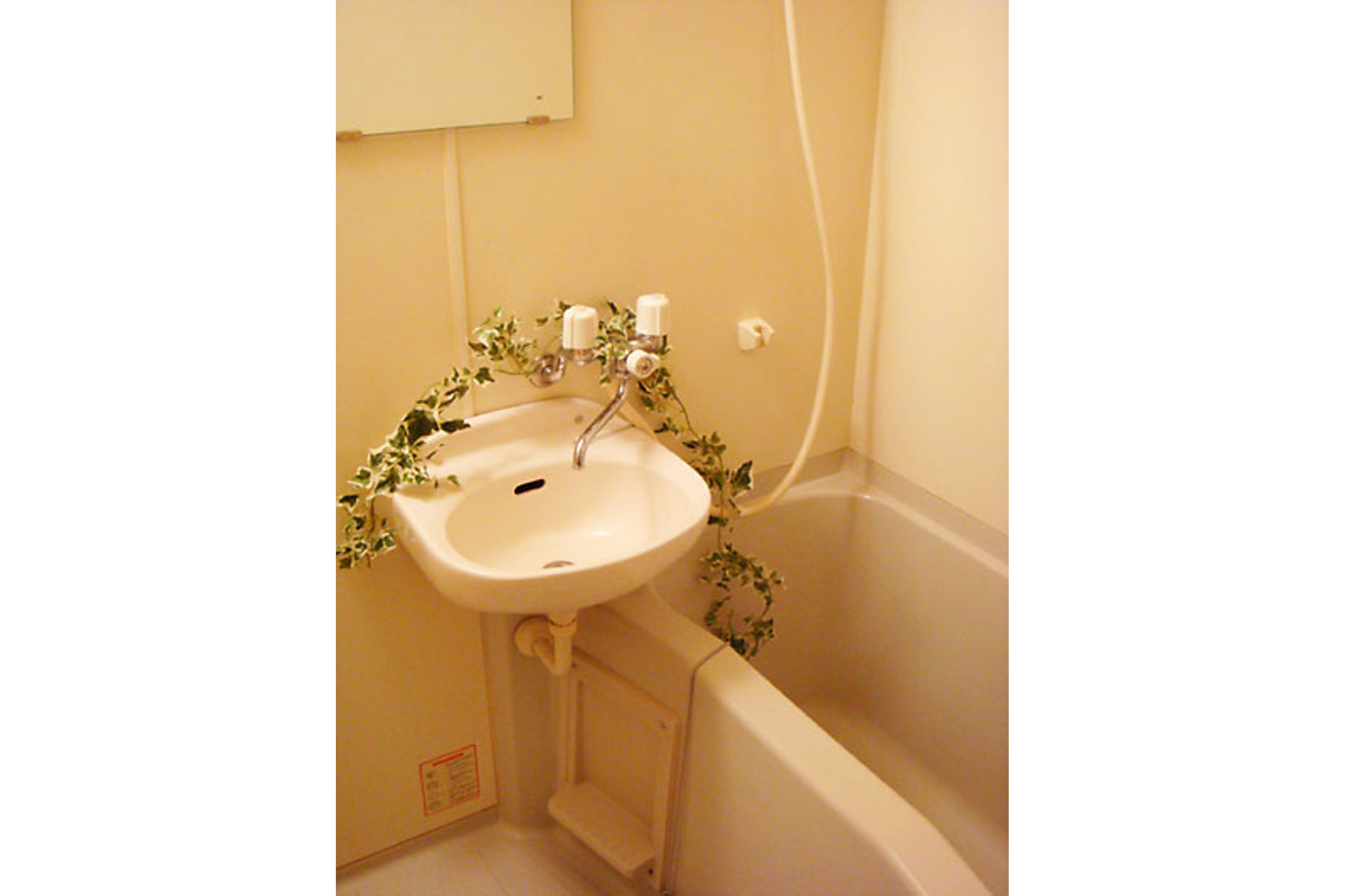 バリュータイプのイメージ