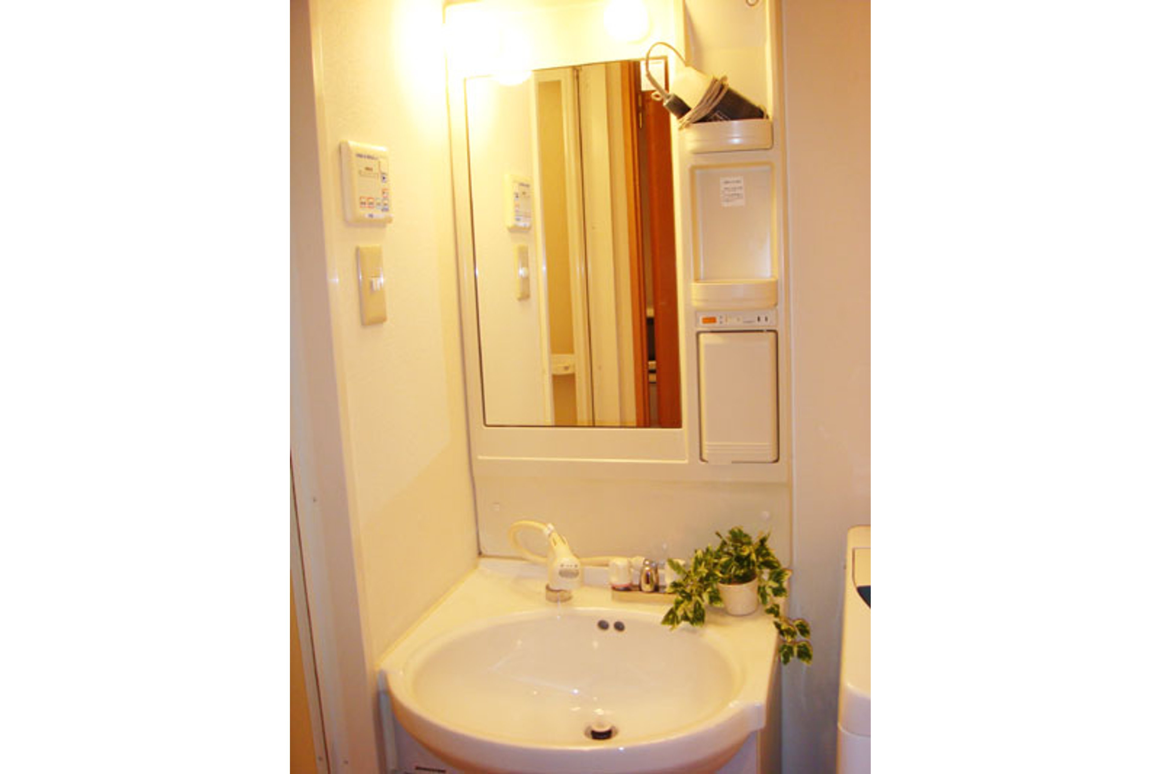 バリュータイプのイメージ