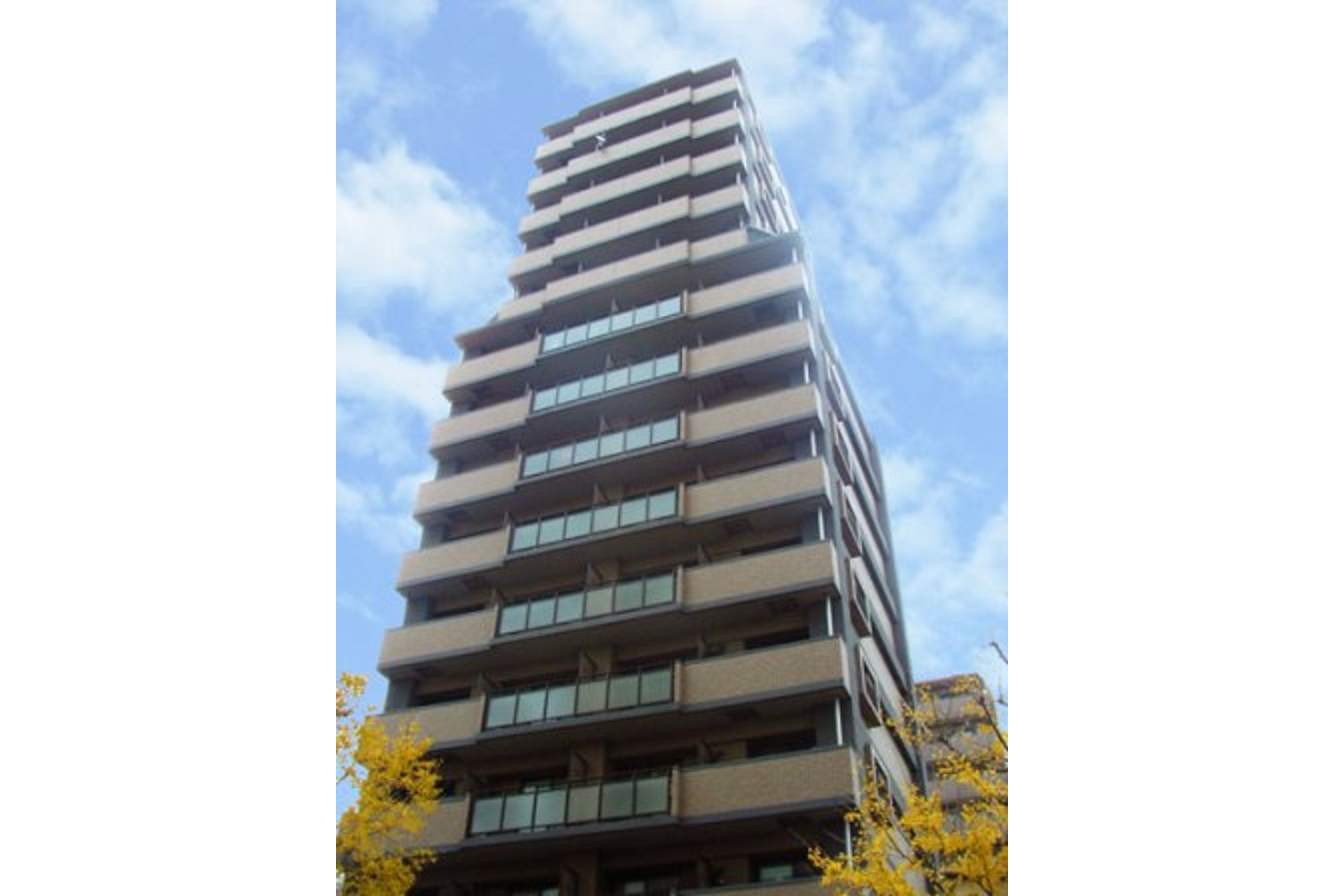 スタンダードタイプのイメージ