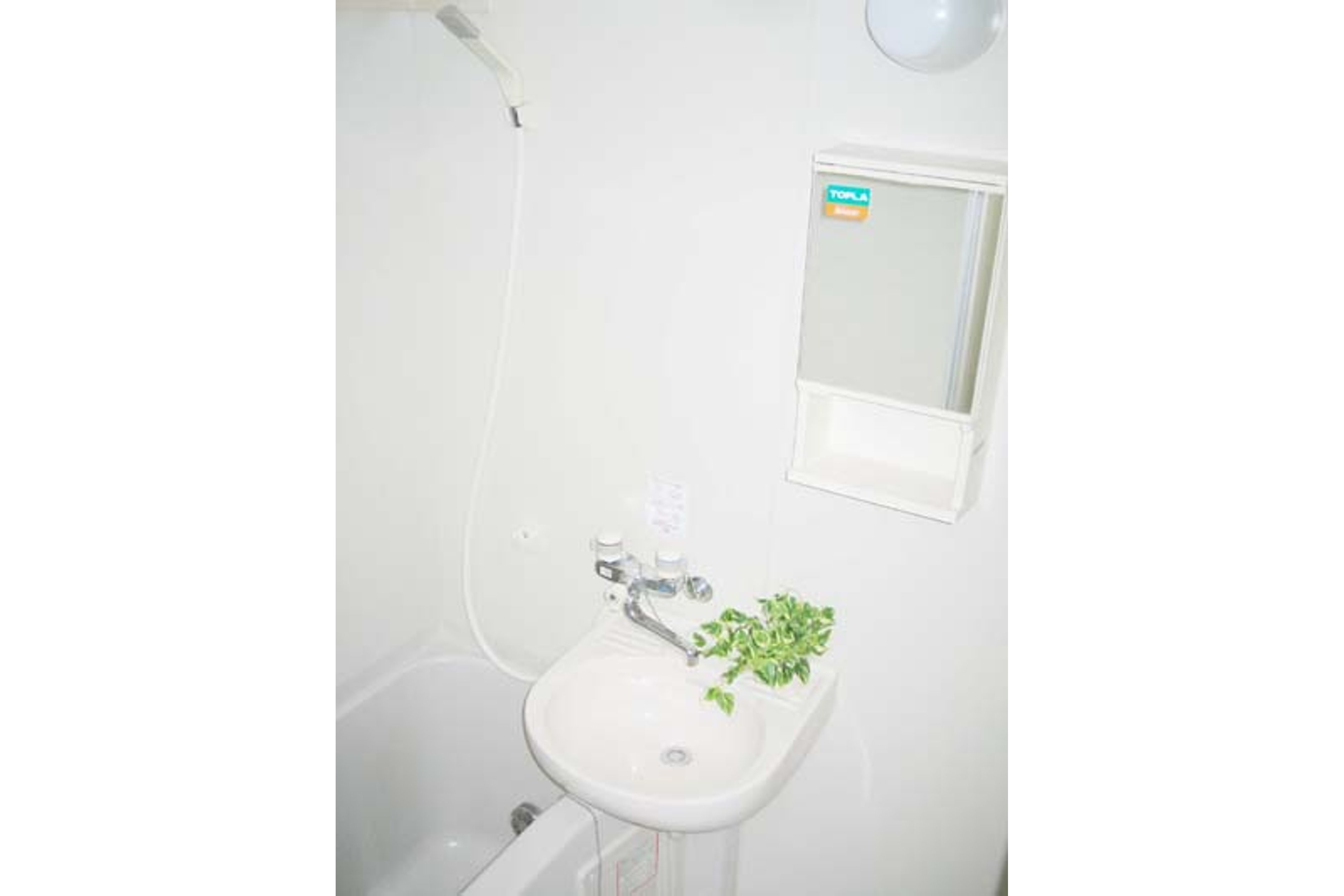 スタンダードタイプのイメージ