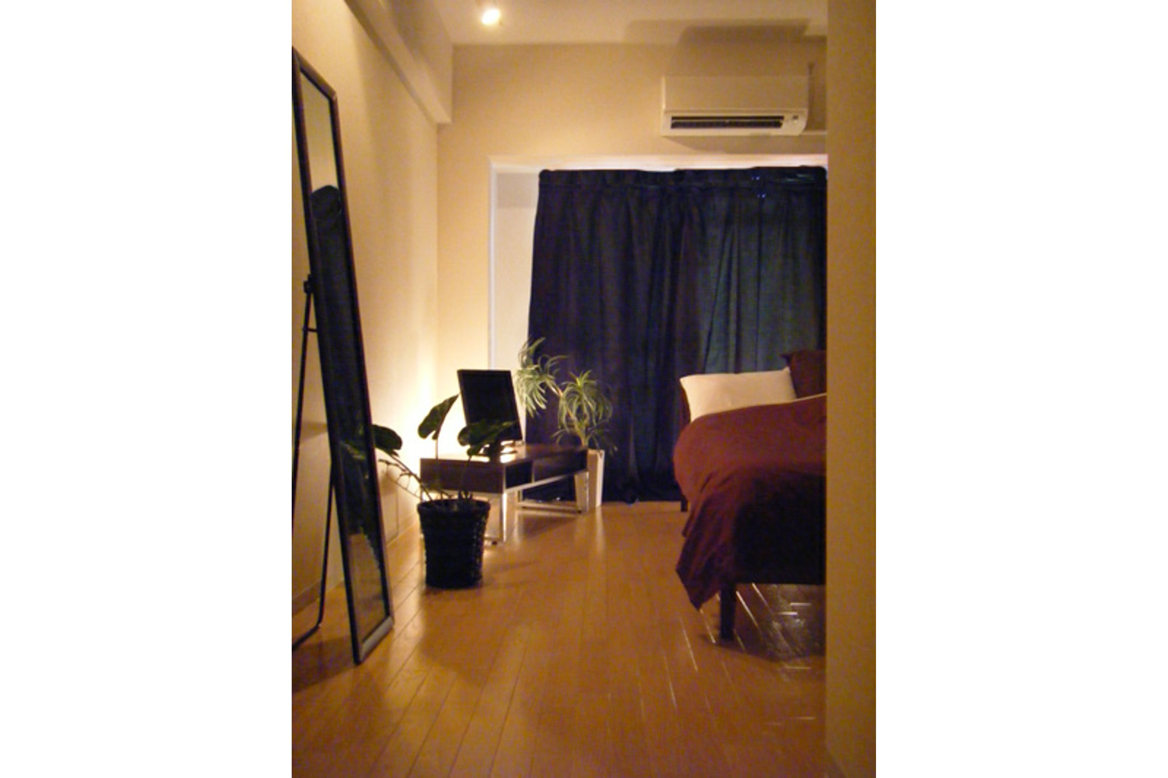 プラチナタイプのイメージ