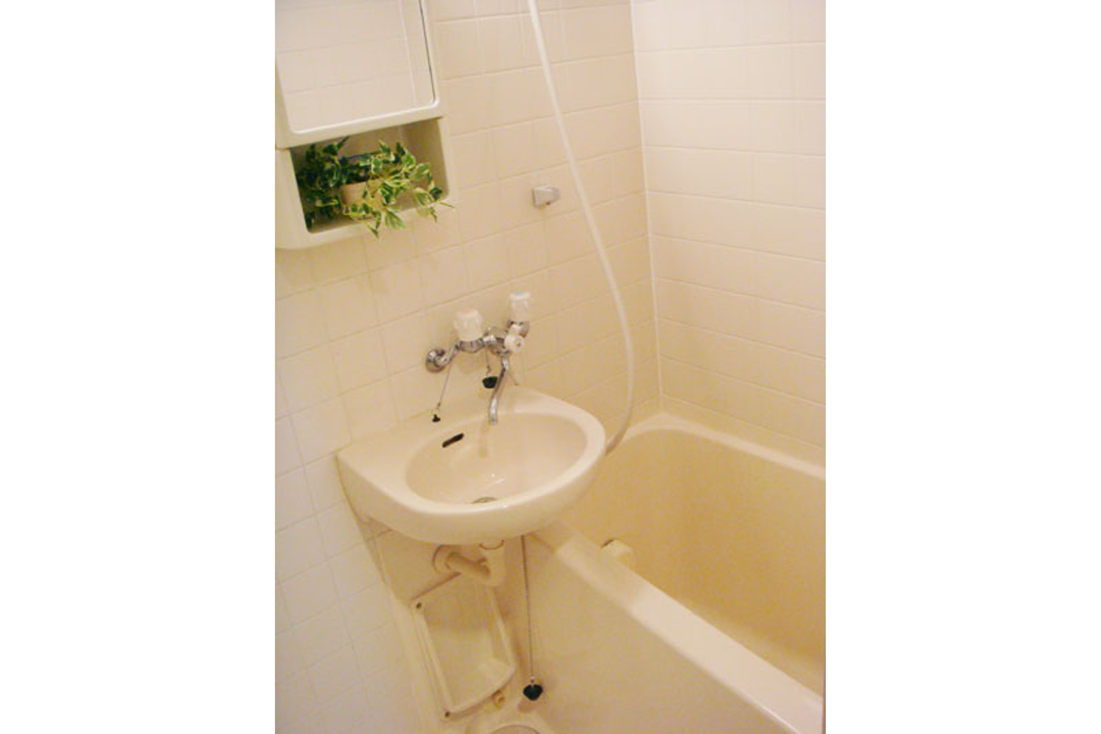 スタンダードタイプのイメージ