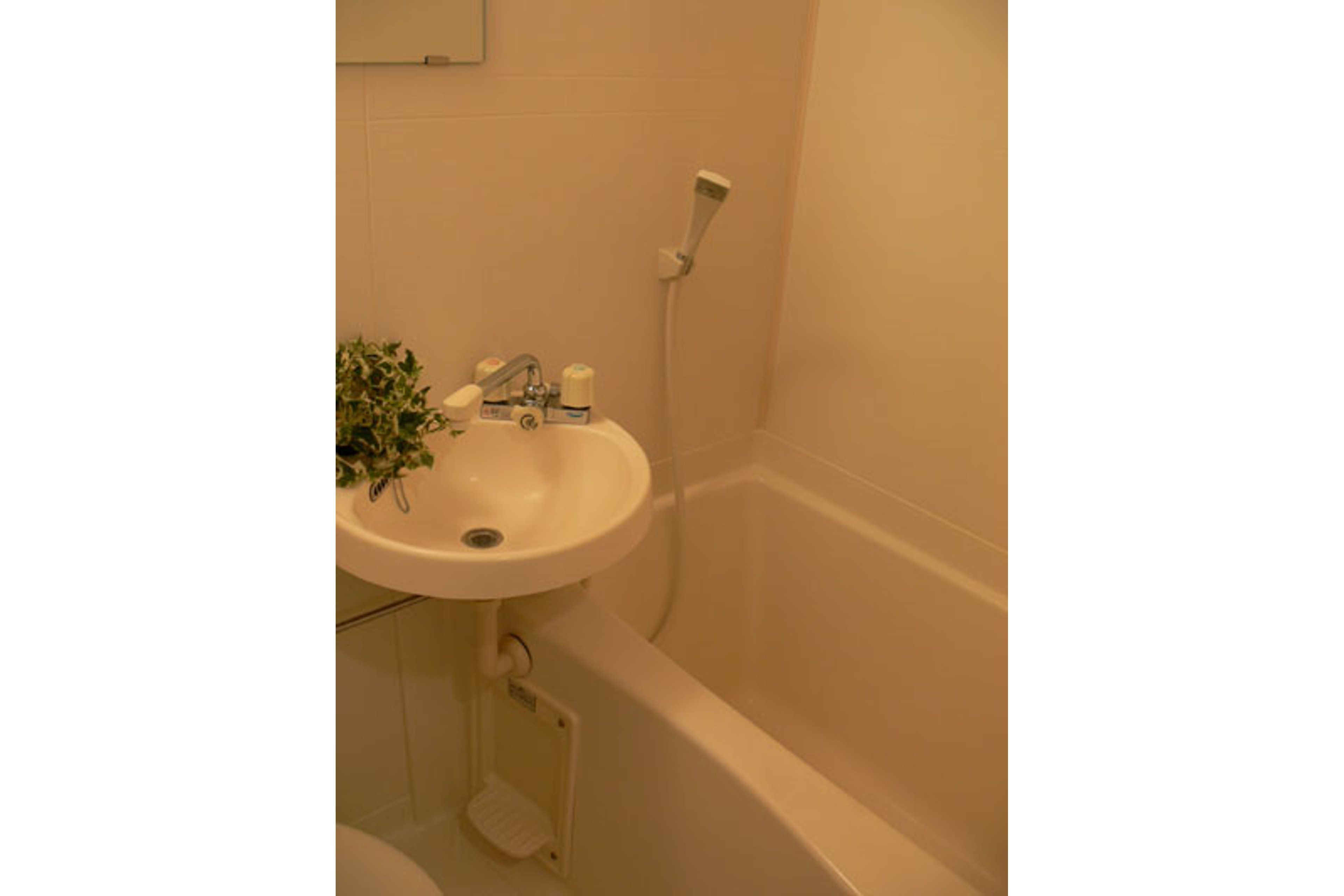 スタンダードタイプのイメージ