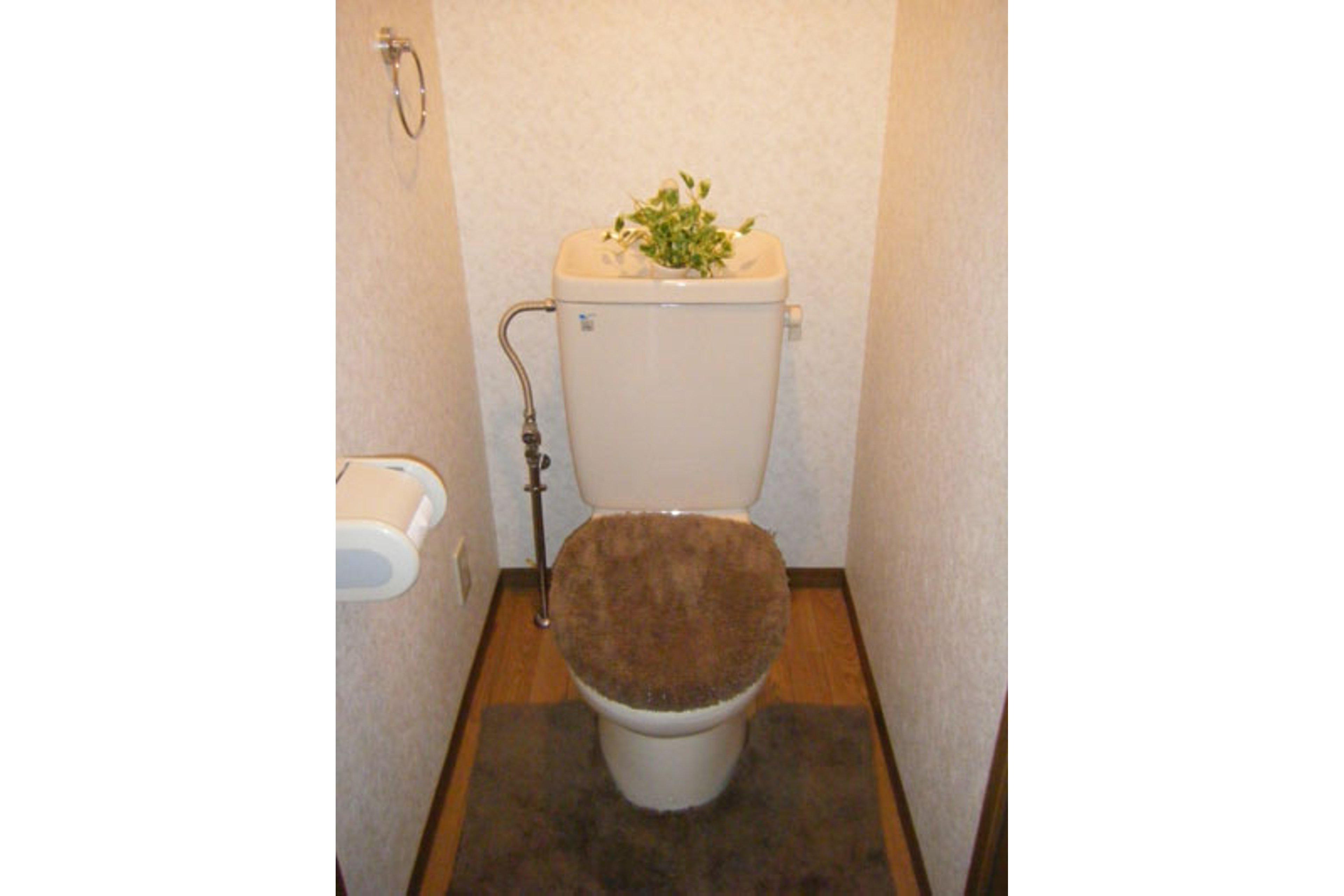 バリュータイプのイメージ