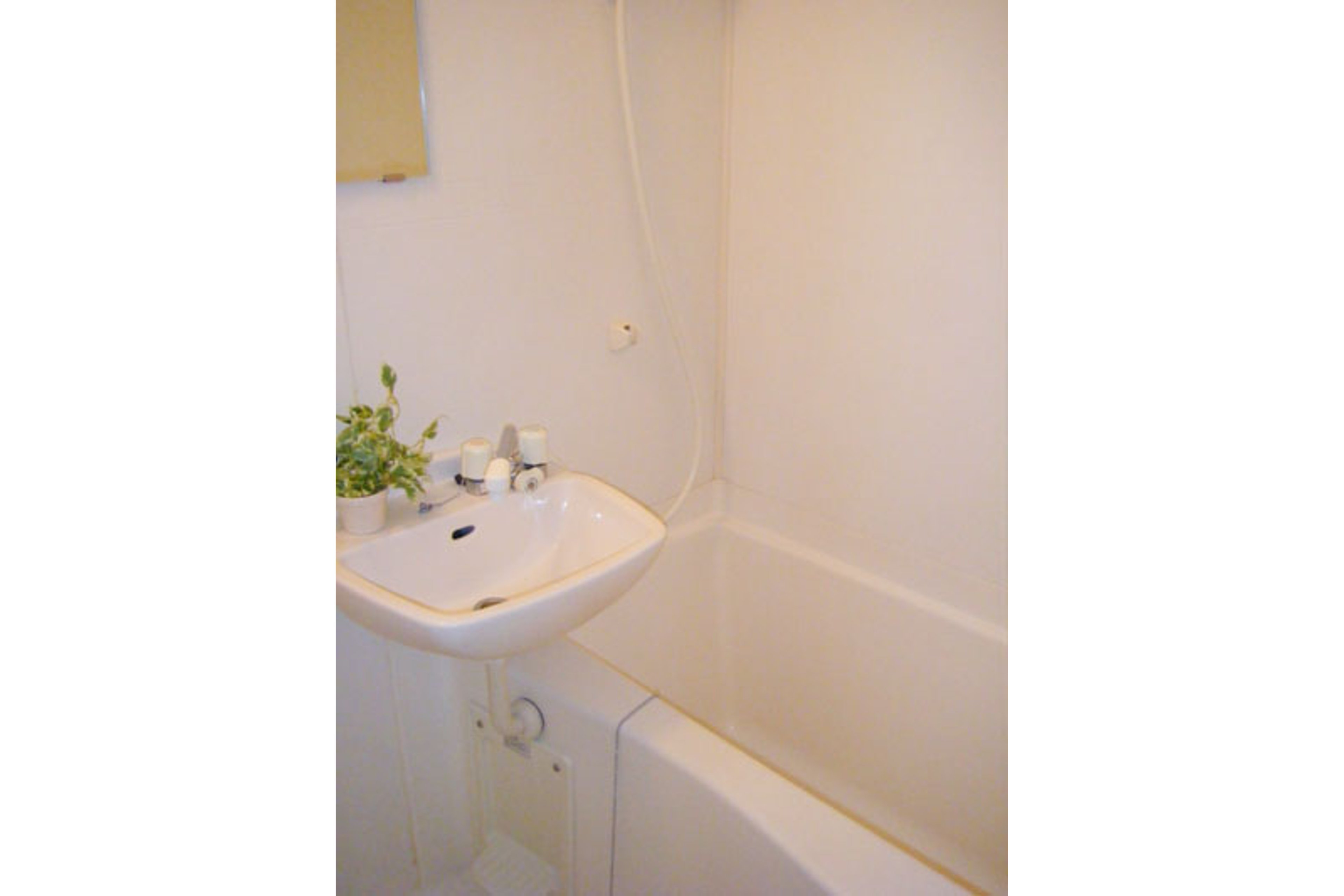 バリュータイプのイメージ