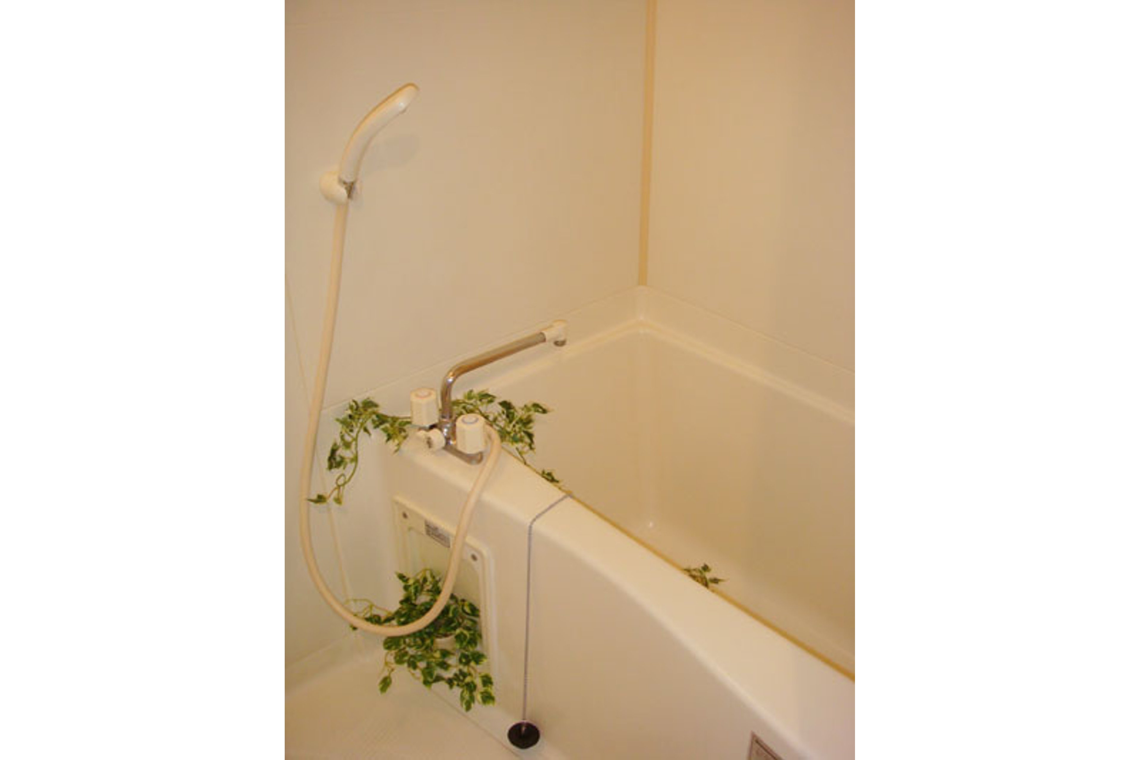 プラチナタイプのイメージ