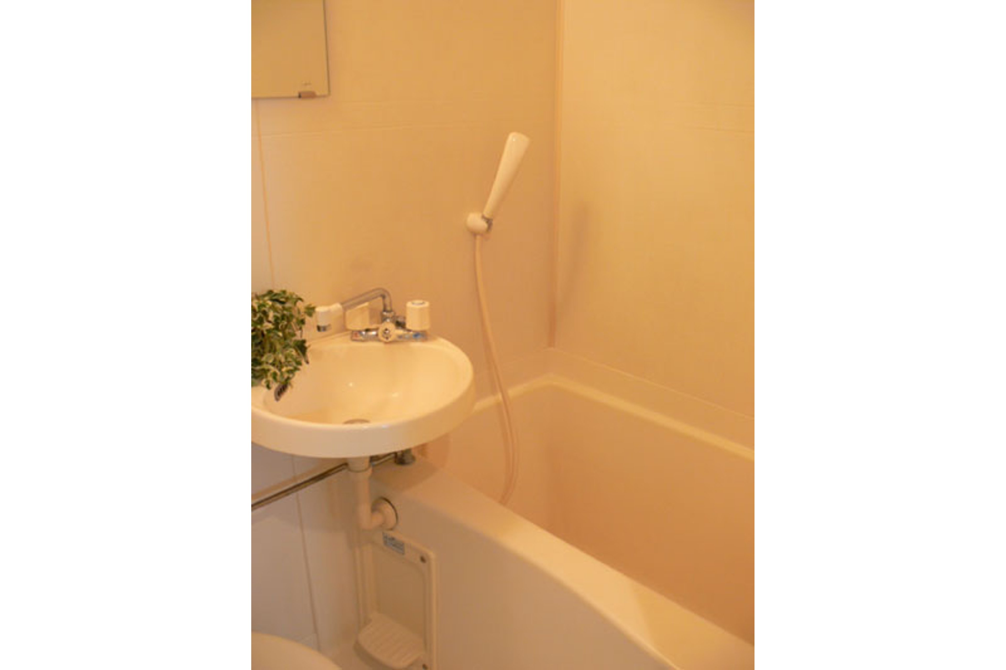 バリュータイプのイメージ