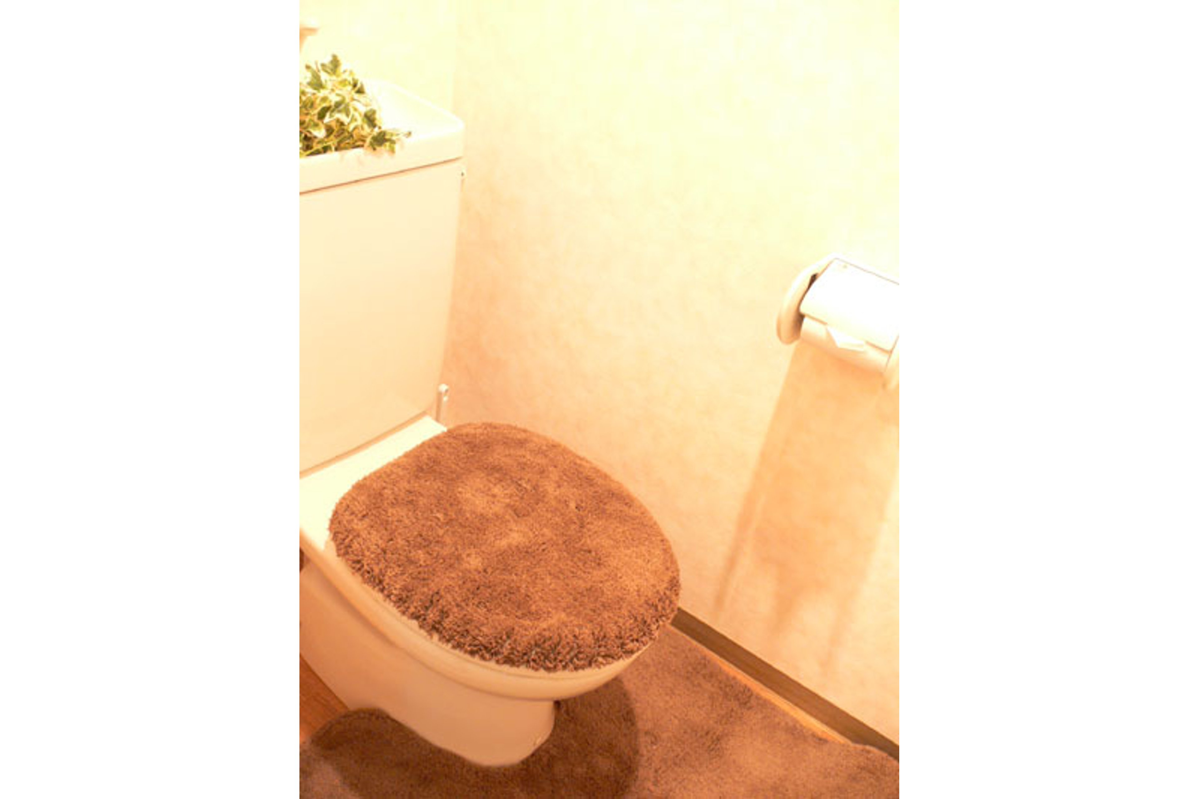 ハイグレードタイプのイメージ