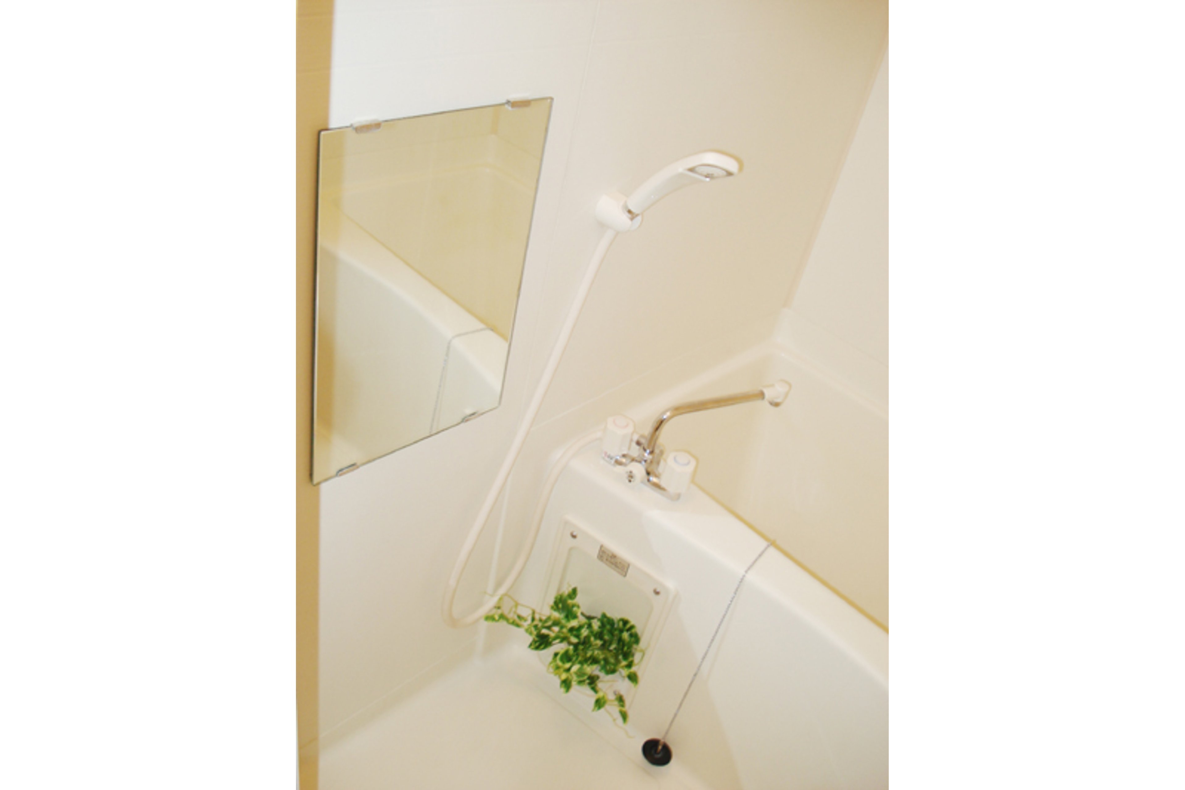 バリュータイプのイメージ