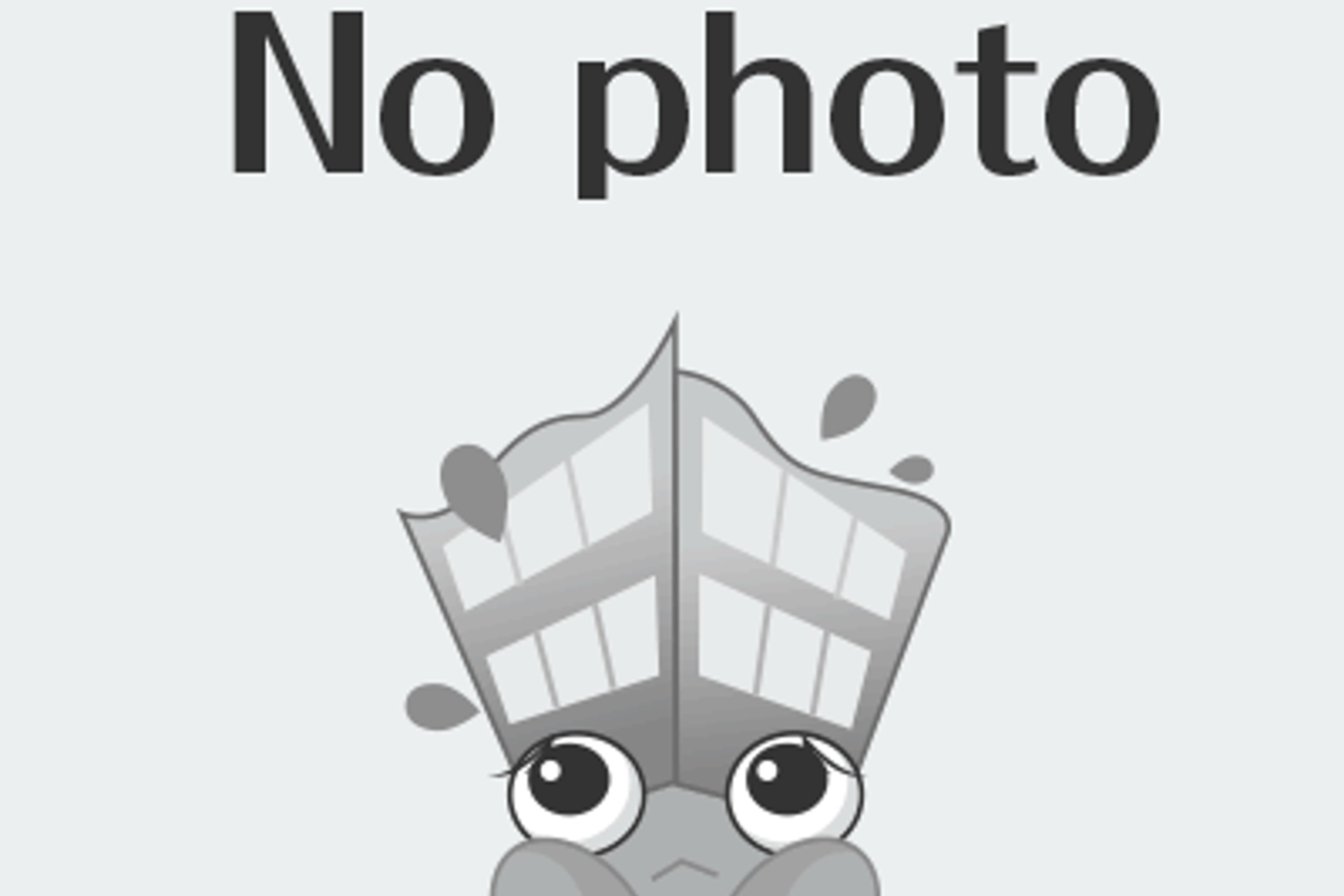 1R(20.47㎡)のイメージ