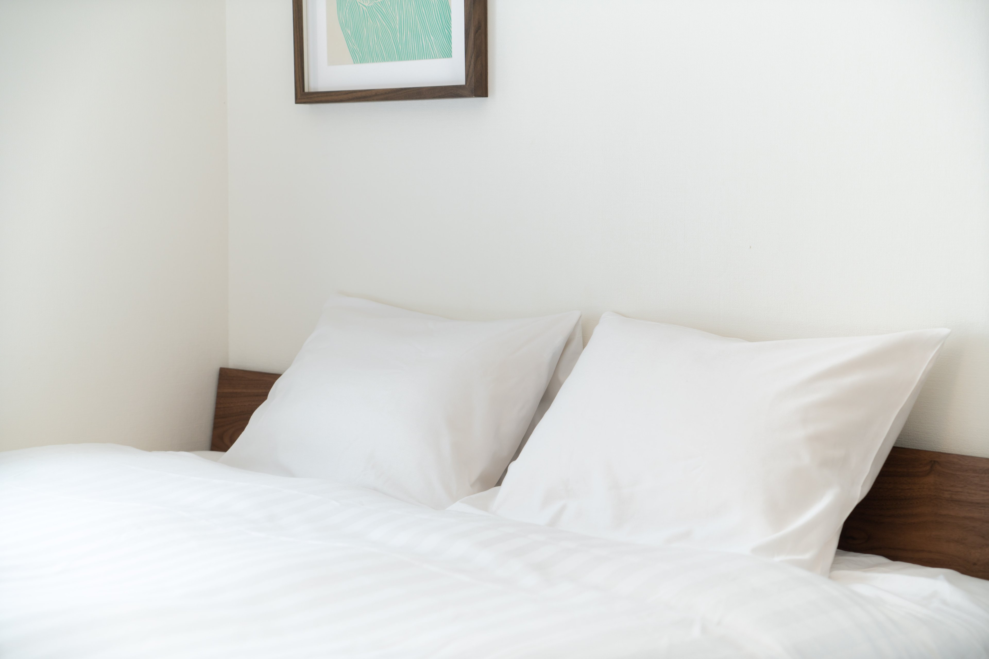 【Japan Stay Package】Superior (Non-smorking)のイメージ