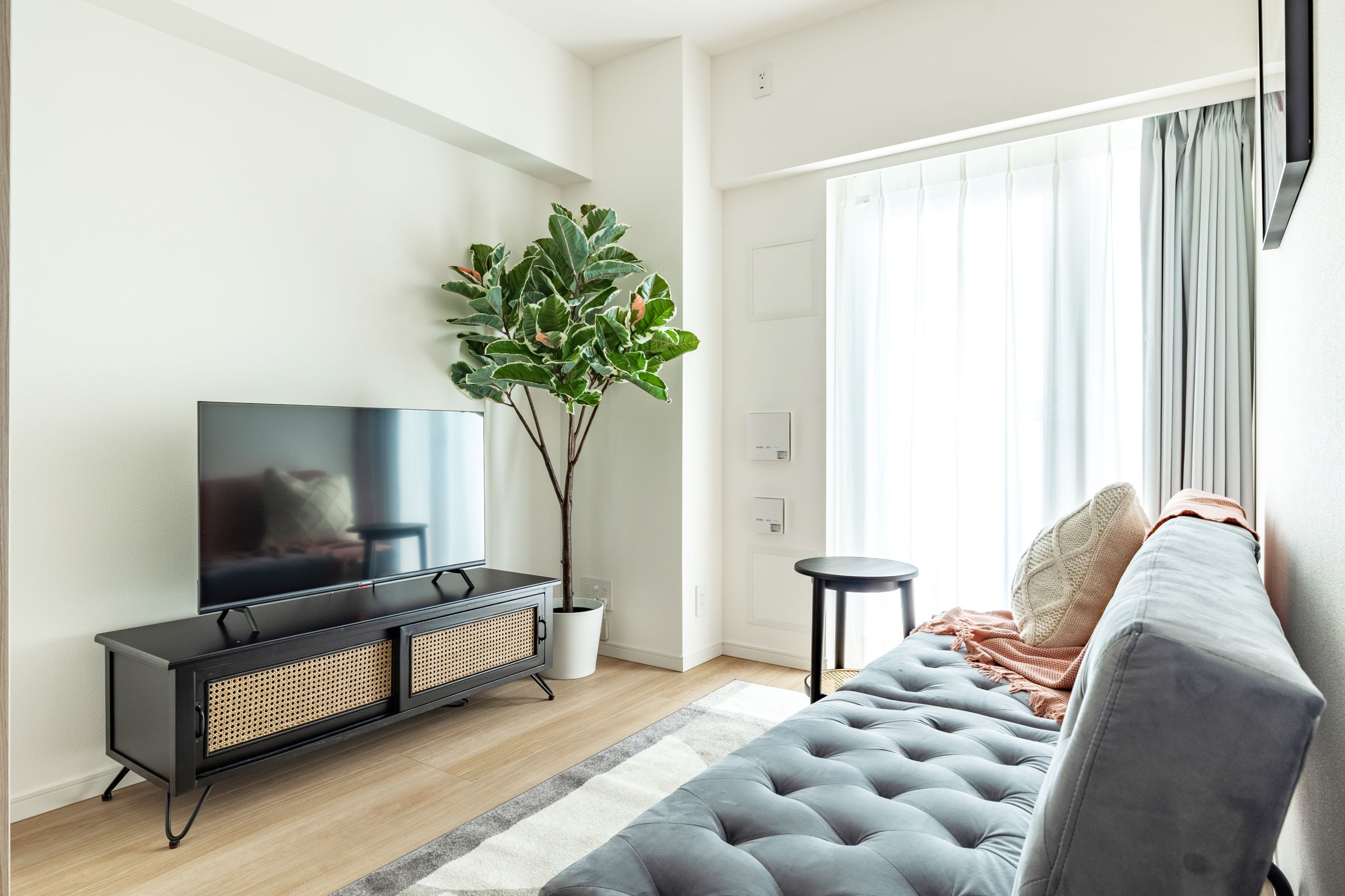 1 Bedroom（1LDK）のイメージ